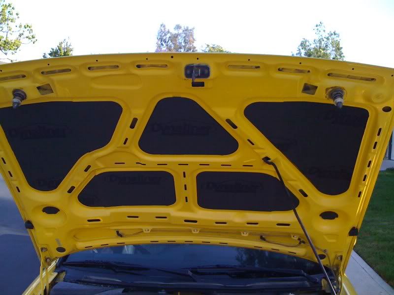 Heat Shield/ Under hood liner